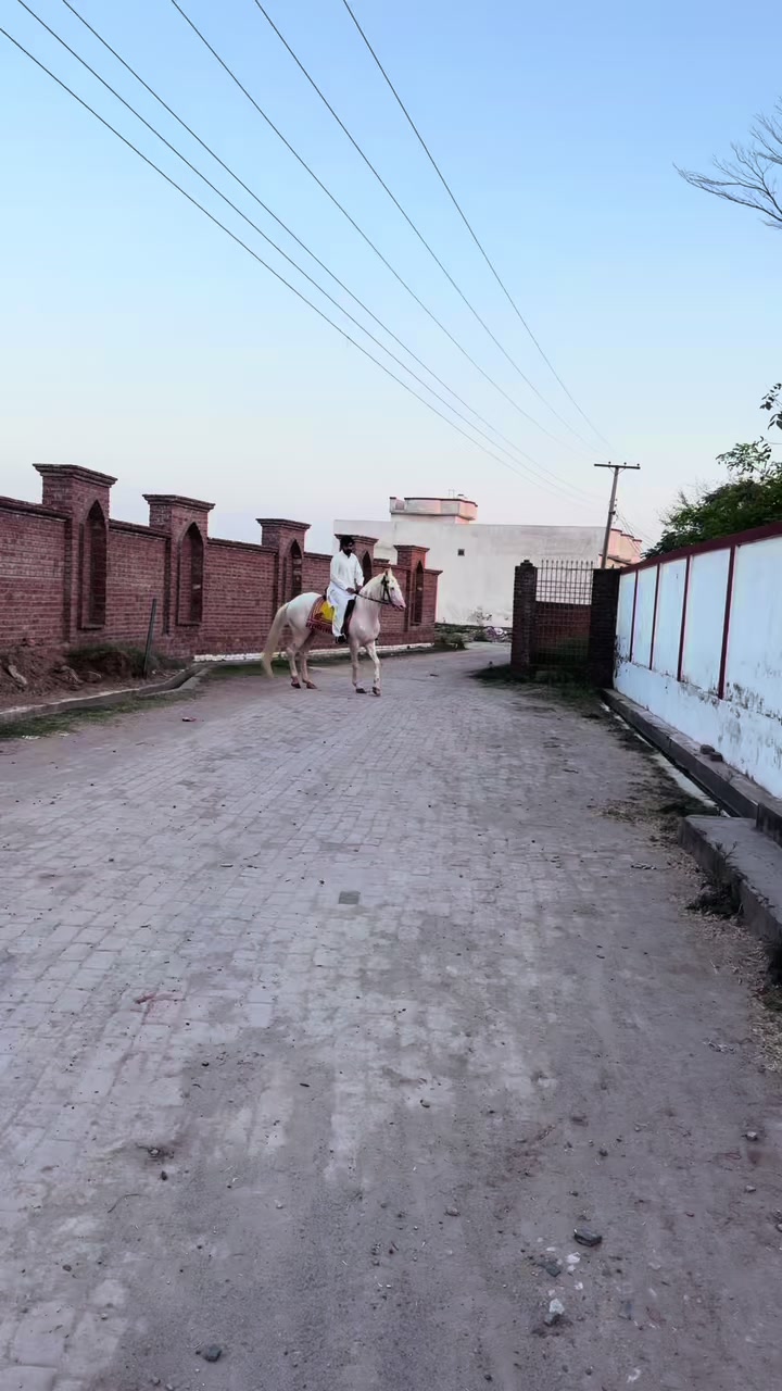 @Lord.Gujjar