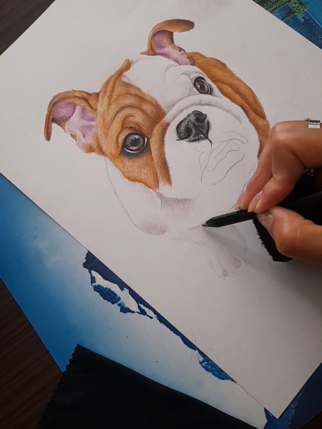 @selena kuriious👩&zwj;🎨