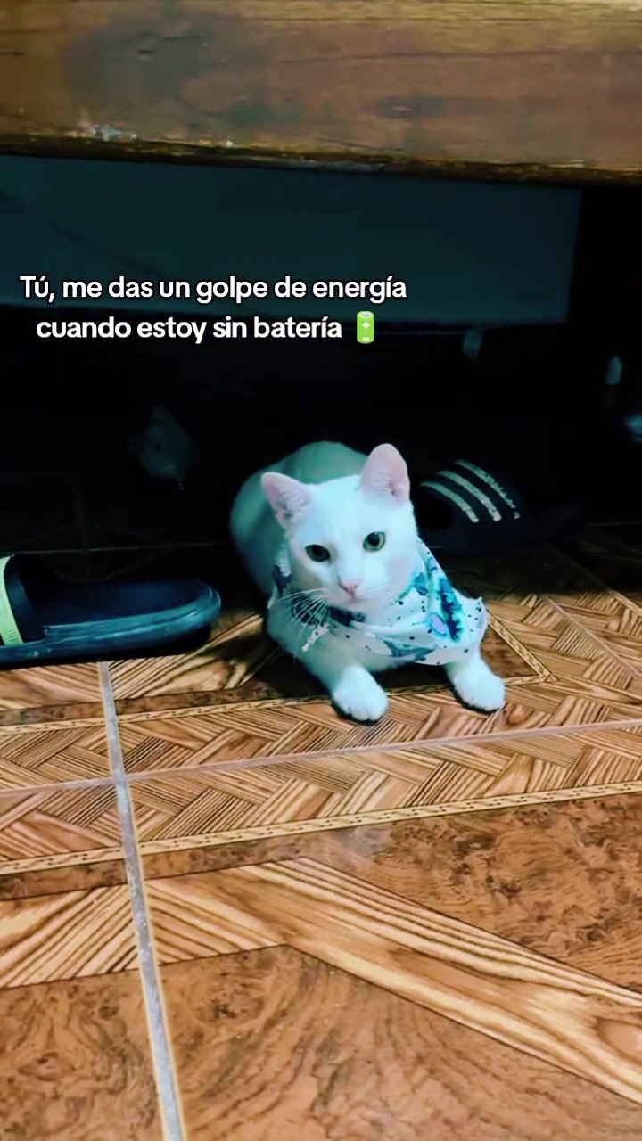 @Anita