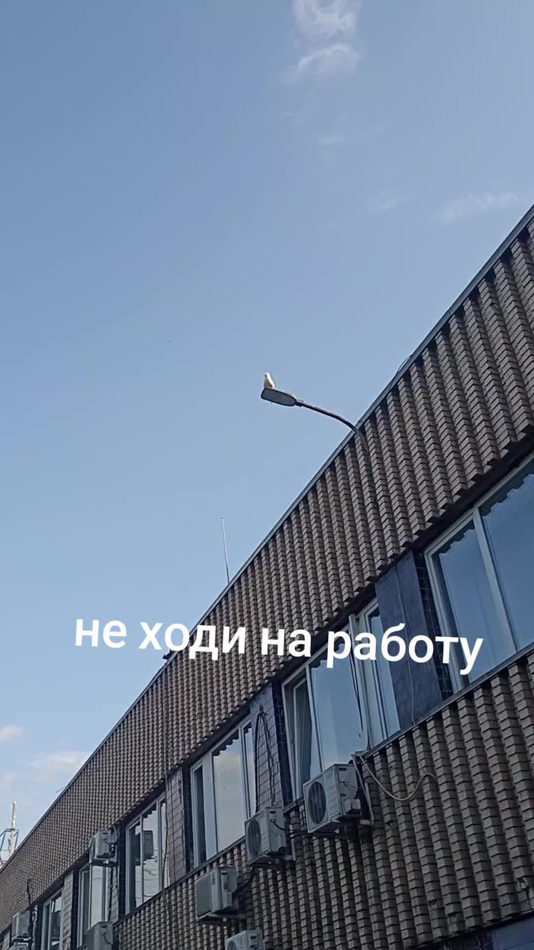 @Анастасия Осипова