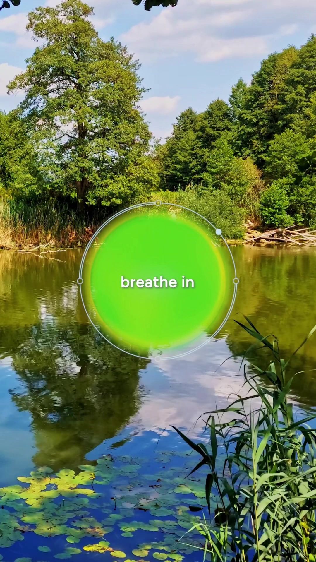 @Calm