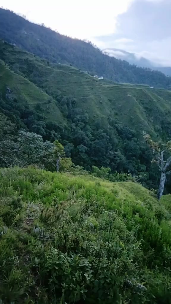 @Gautam Tamang