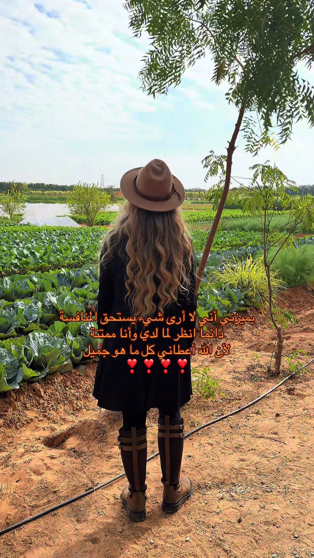@✵