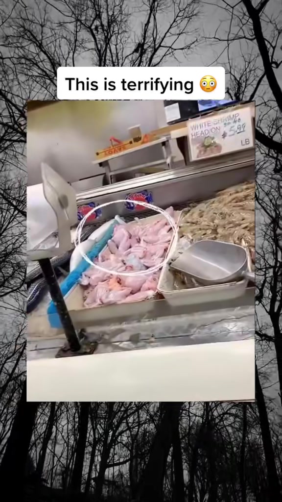 @SCARYVIDEOS