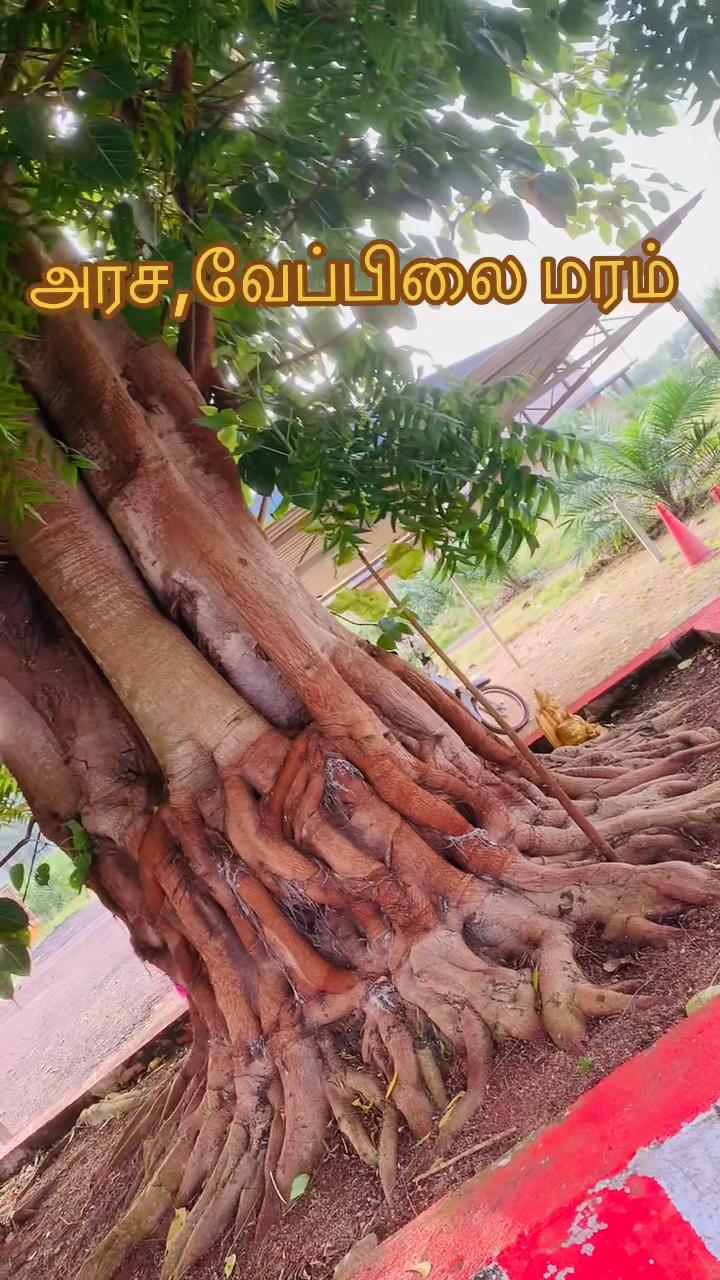 @💜Swetha😘Maha😇Menon💜