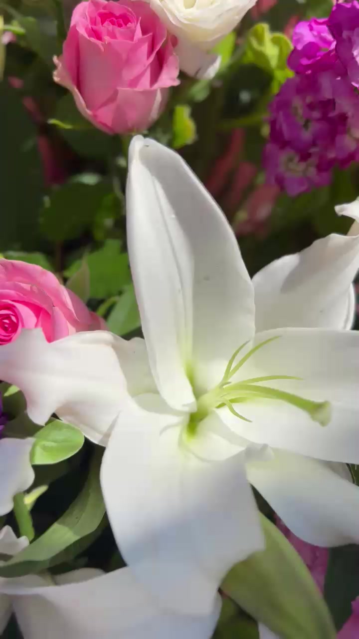 @Shireens Flowers 😊