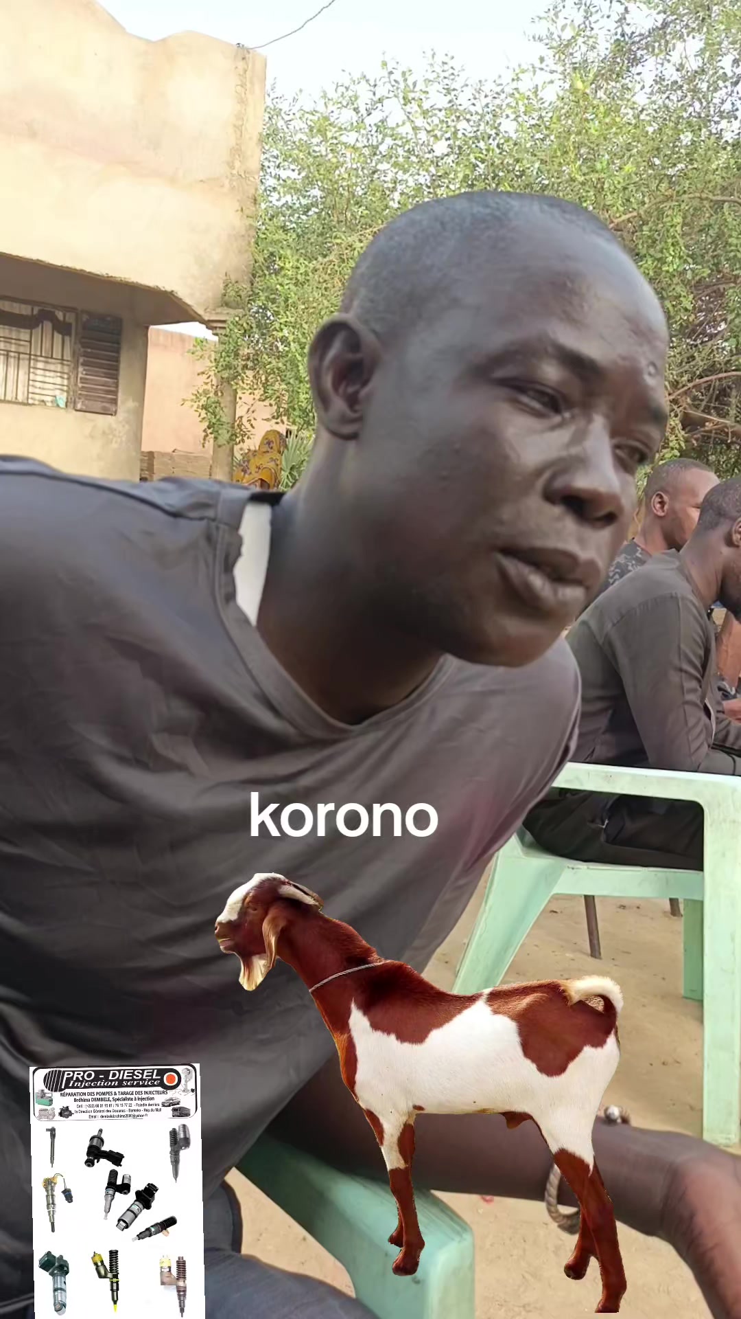 @Korono