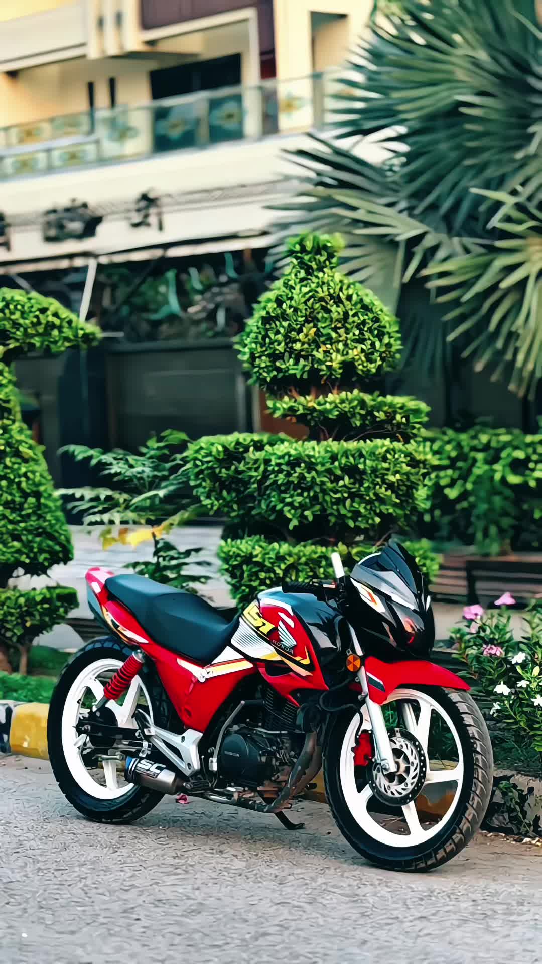 @👻