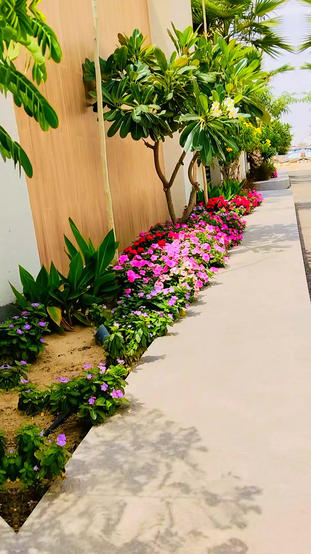 @sharukh N __🇳🇵🥰👈🇸🇦