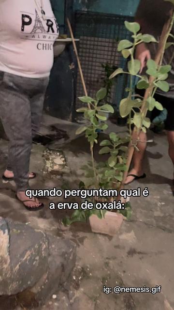 @Nêmesis