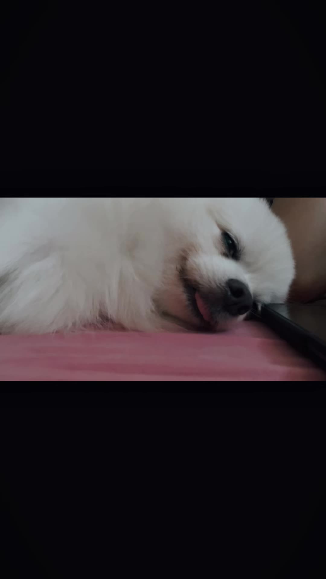 @bnbrsmaeshop
