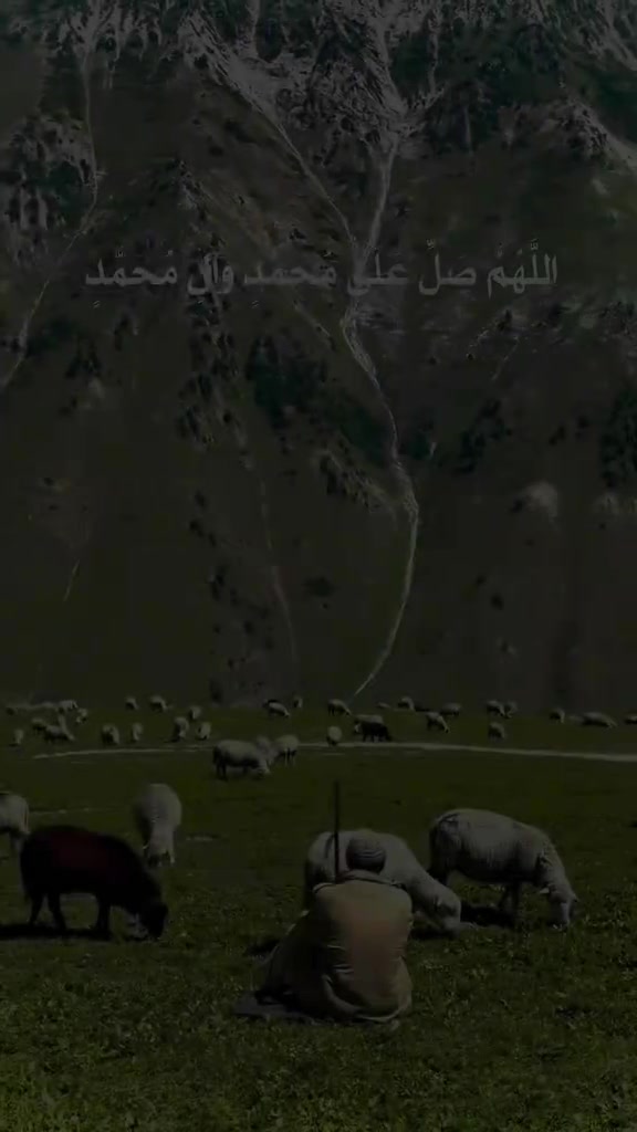 @واثقه بالله
