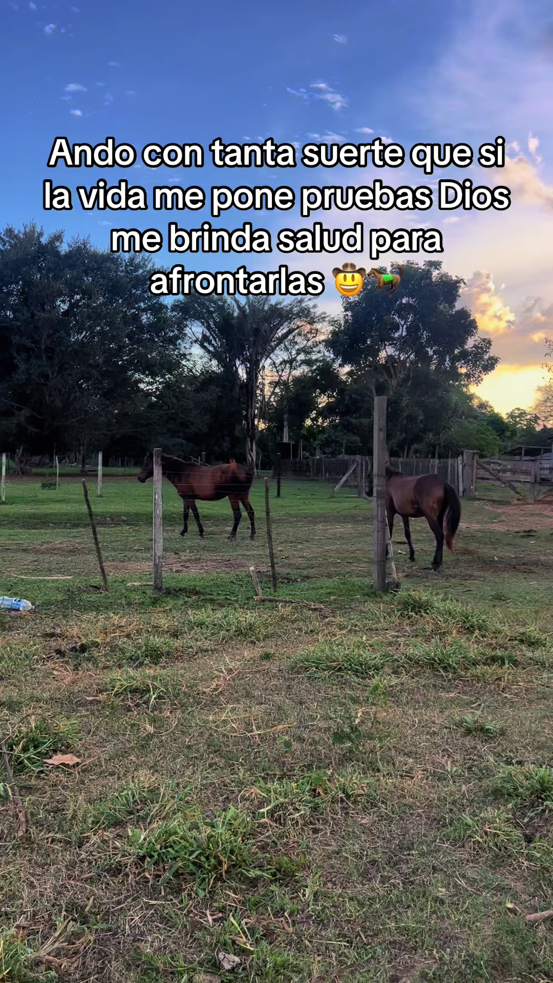@Mauricio