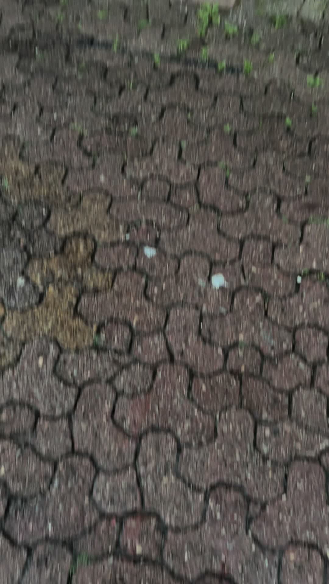 @tom_45076