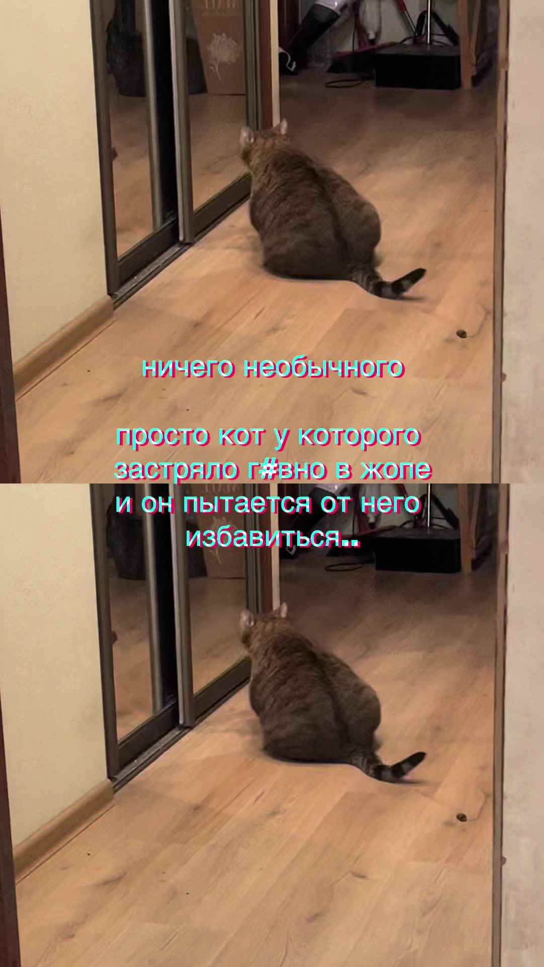 @лил лиз