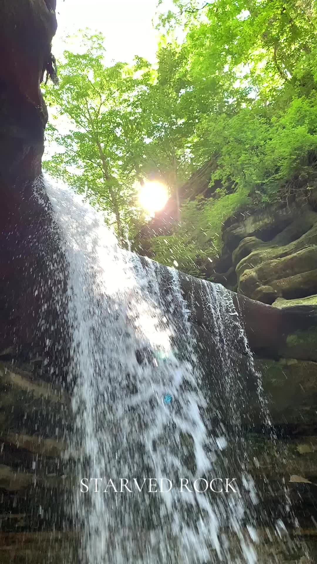 @Symphony Of Nature