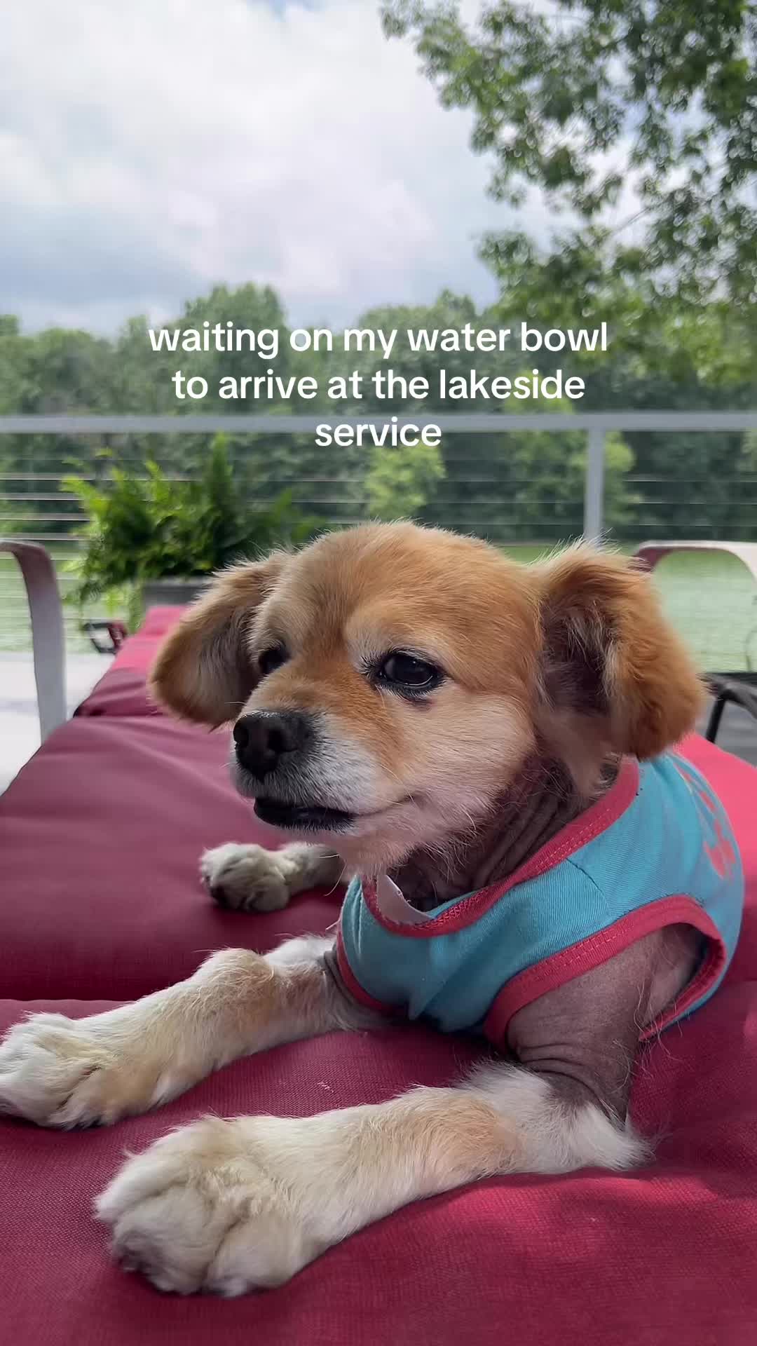 @kingpep