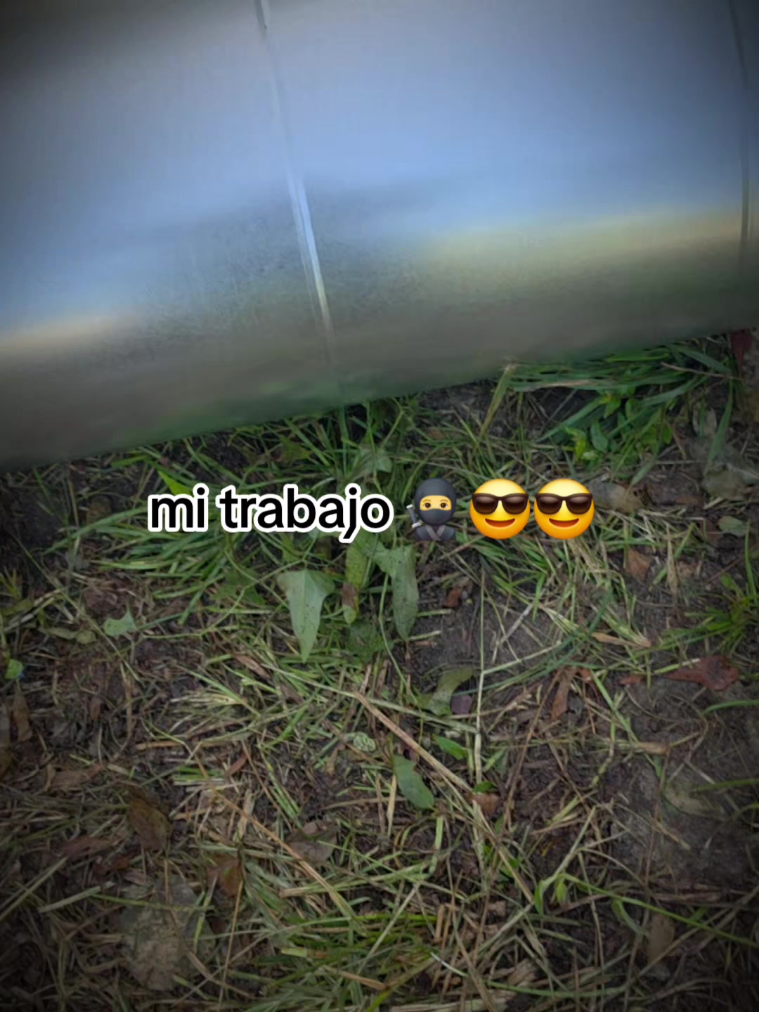 @🧸EL TEAM🫡🫡🌻🐰🌙😈 ▄︻══━⁵⁰&sup2;