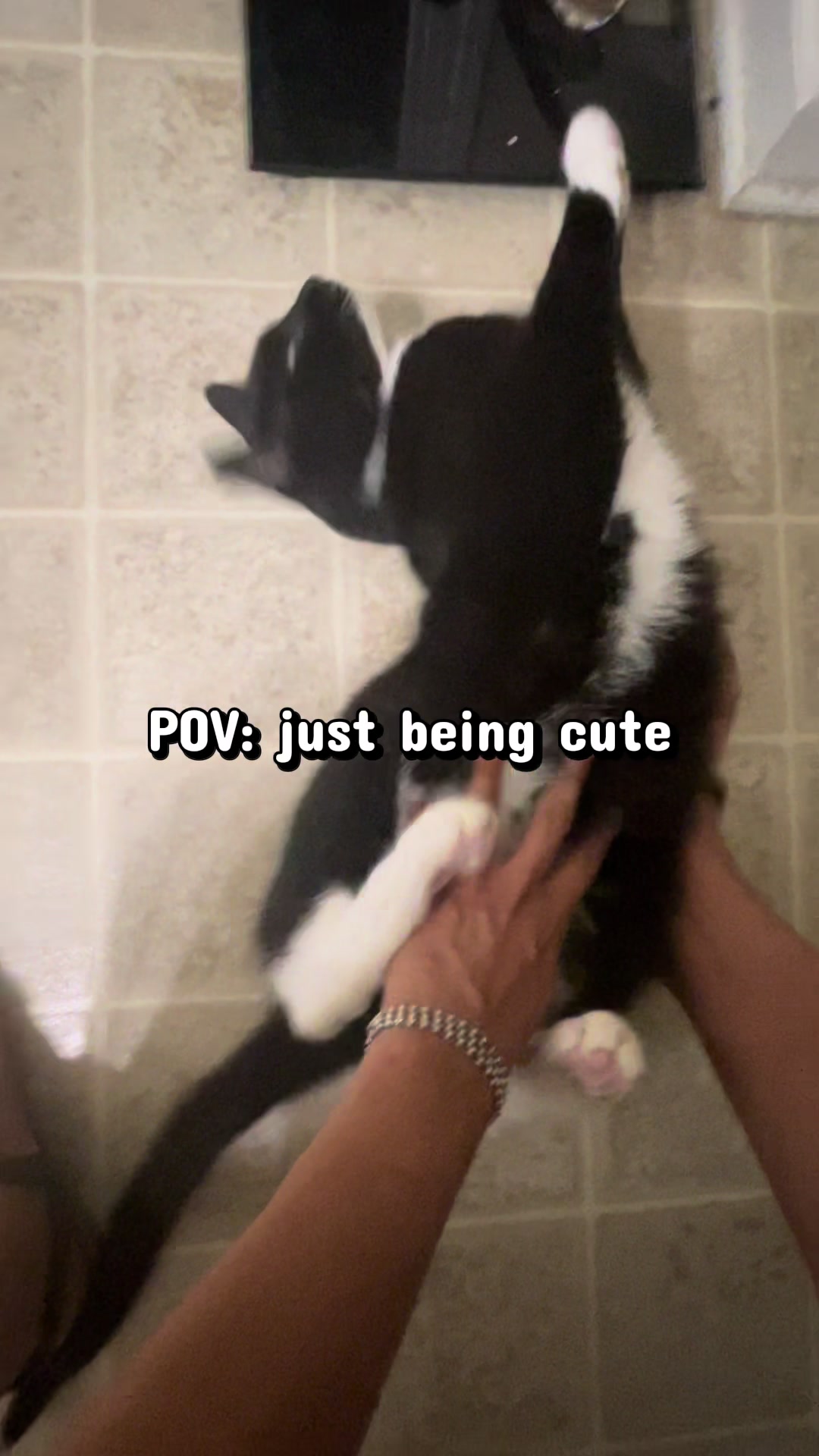 @Pablo & Luigi 🐾