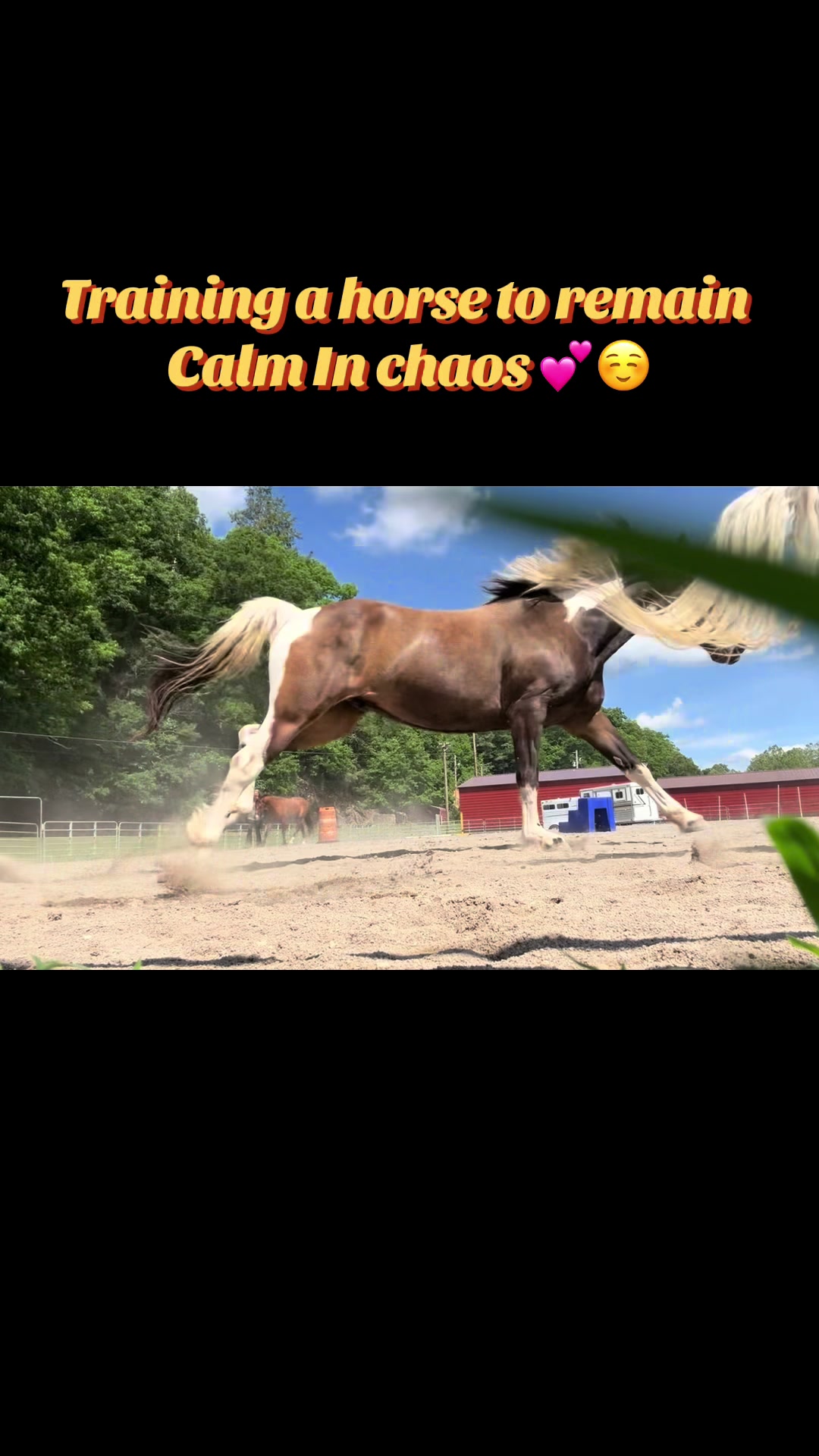 @Janet..Fuzzy.farm.gang