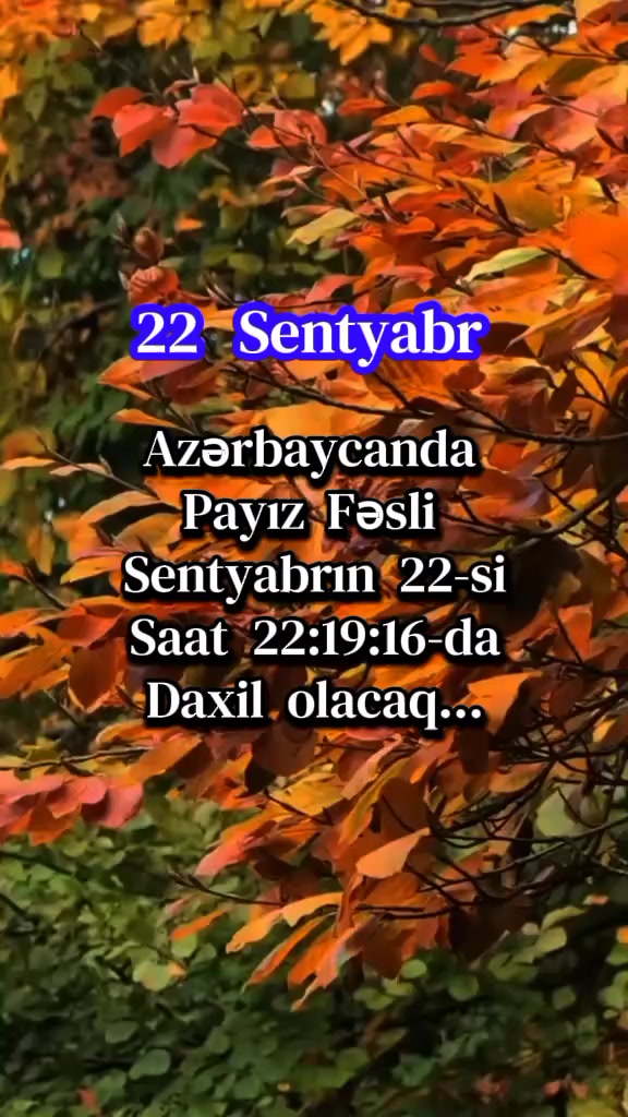 @.ೃ࿐𝓢𝓮𝓿𝓭𝓪𝓶.ೃ࿐
