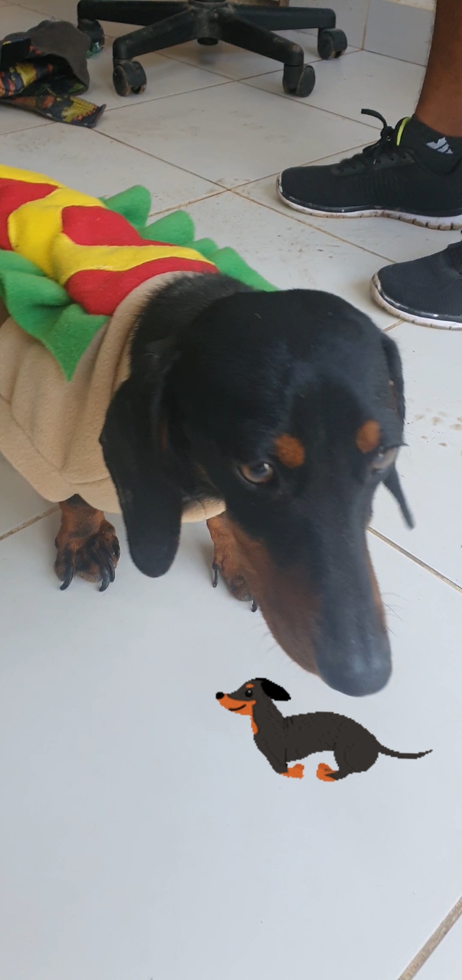 @Woof Bolivia