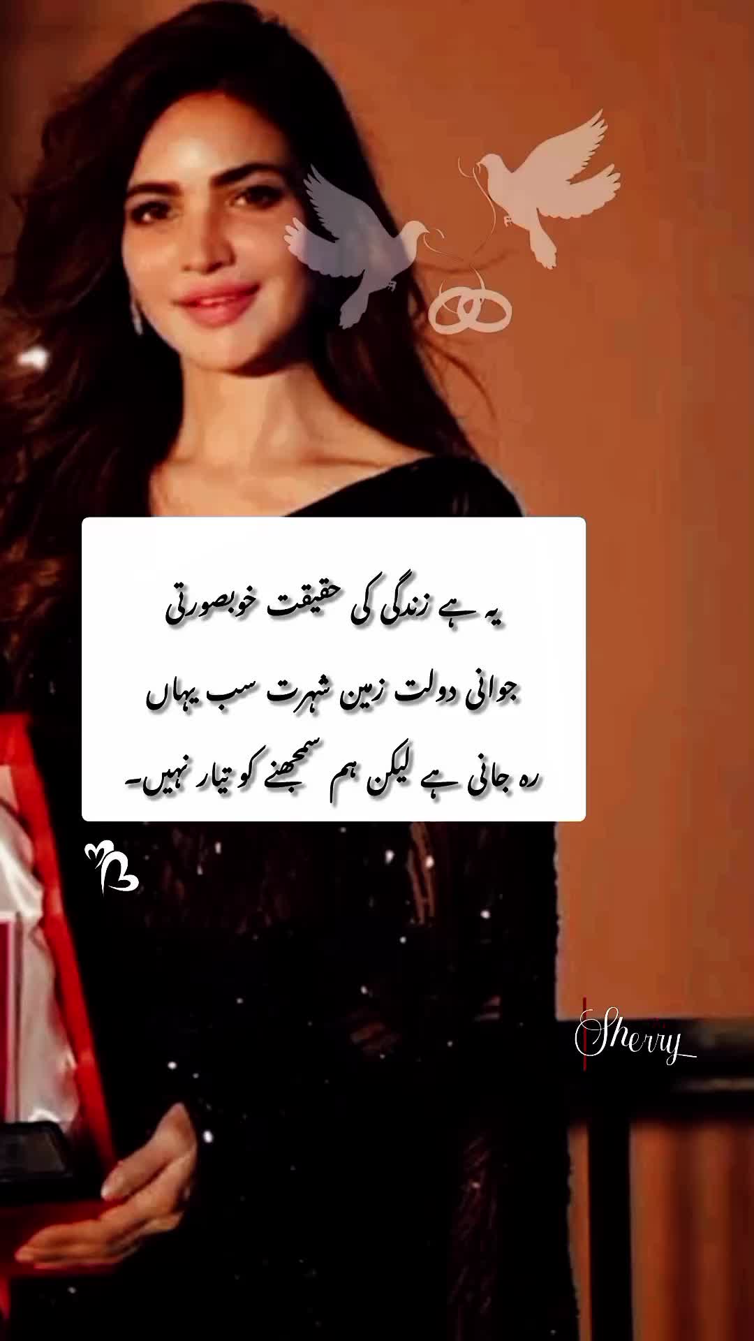 @شیری رائٹس🦢