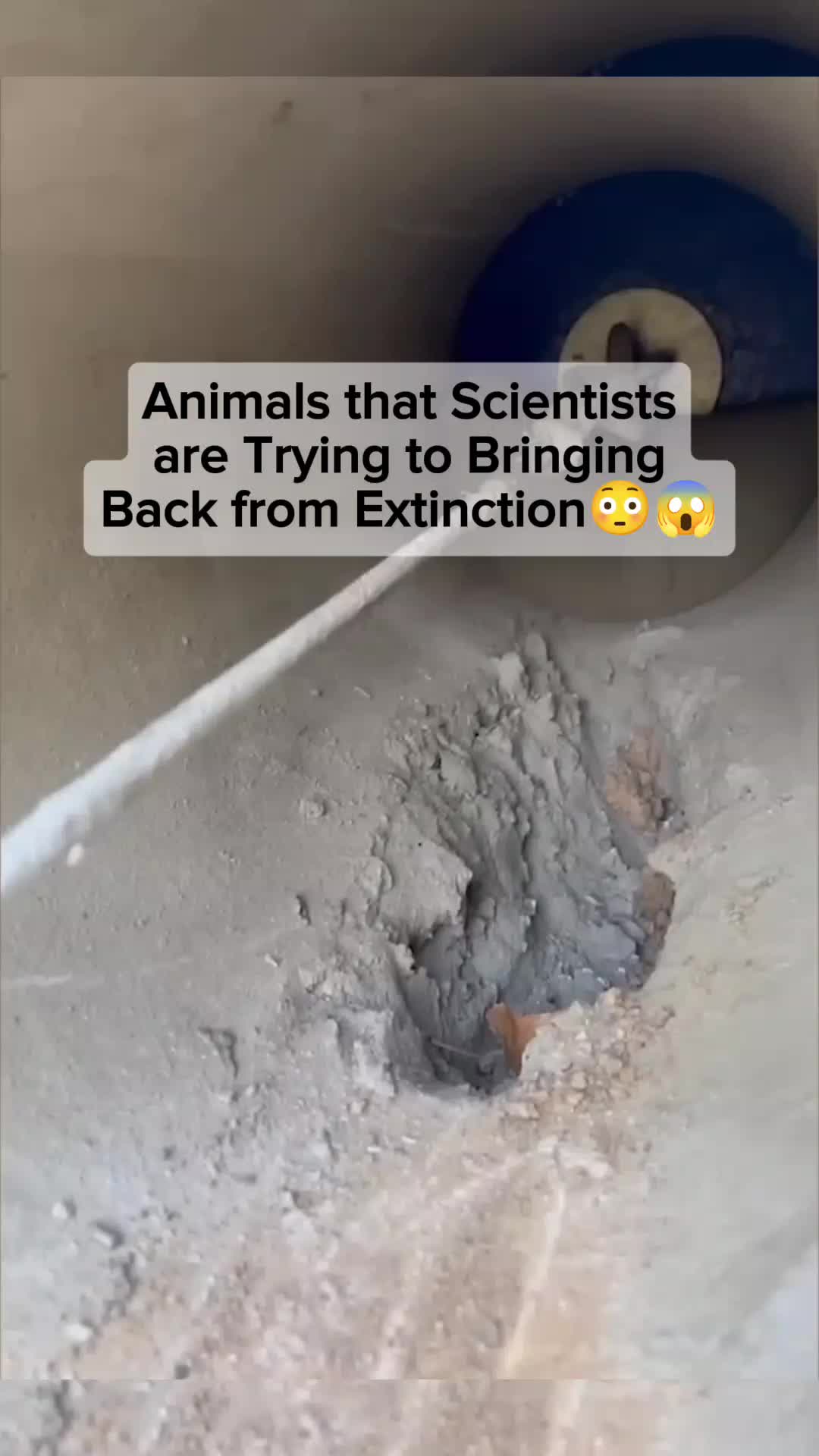 @horror videos