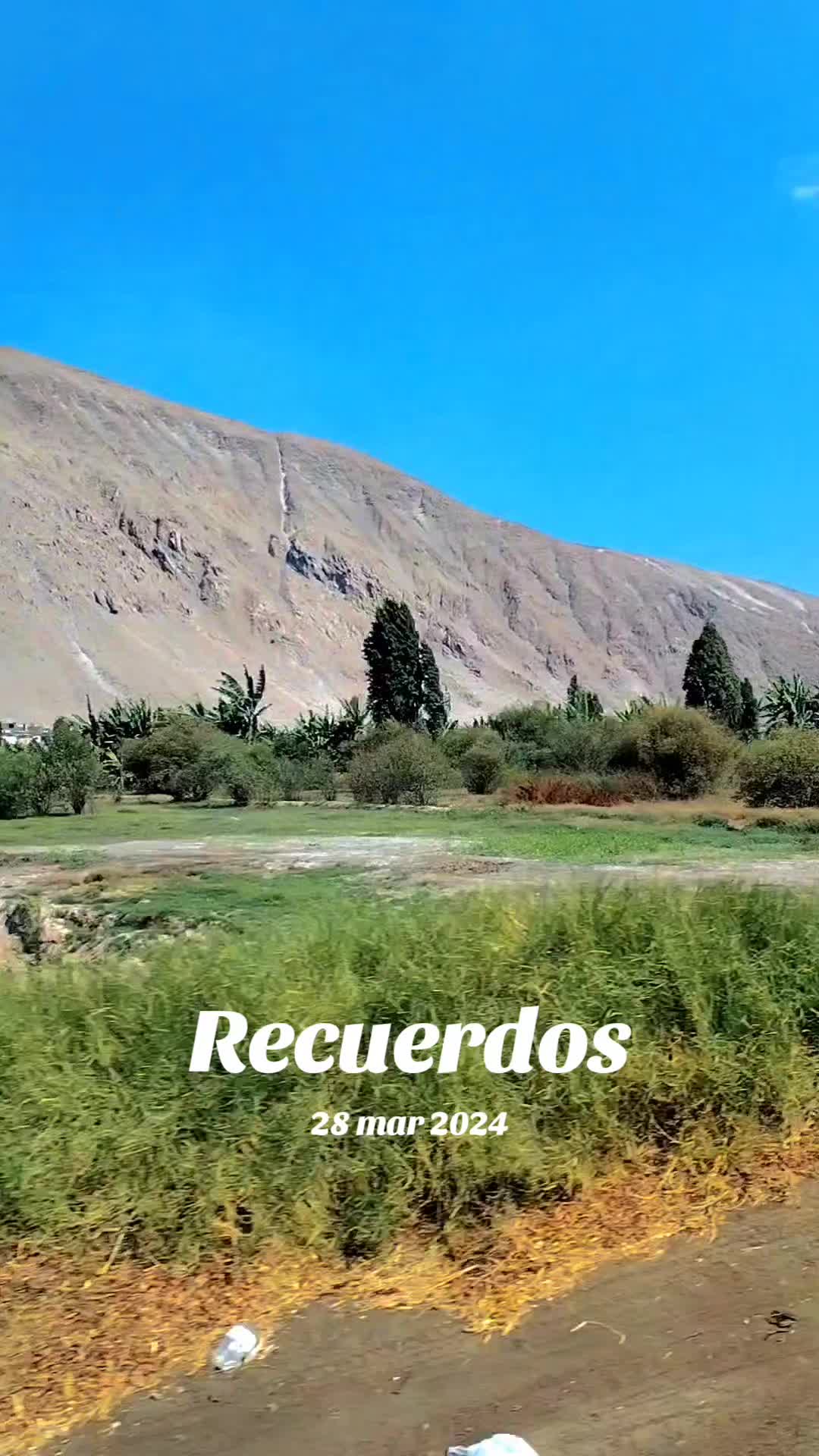 @abdias019