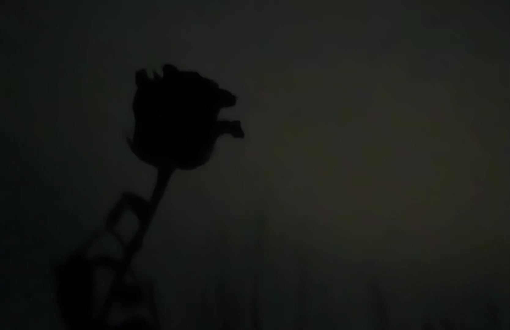 @𝕹𝖎𝖑𝖆_𝖑𝖕