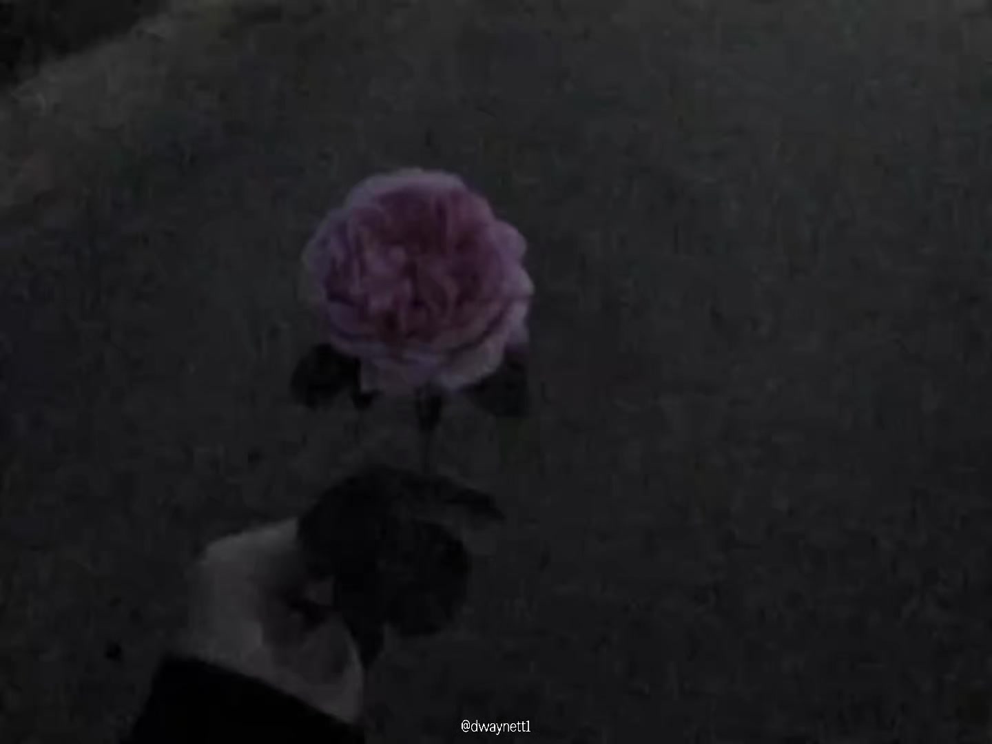 @Dweynz