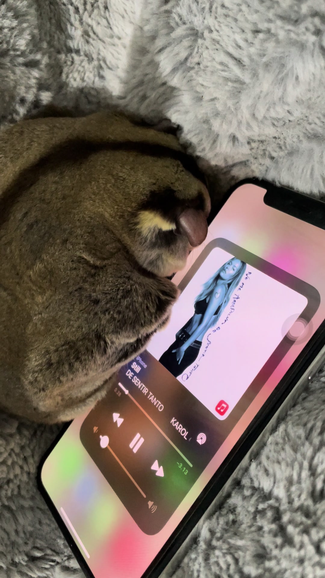 @Sadglider