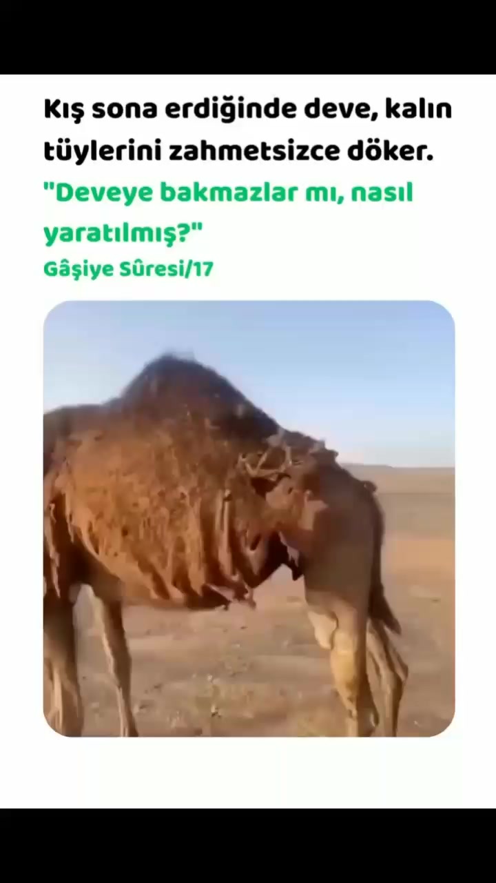 @EL_VEKİL☝🏻