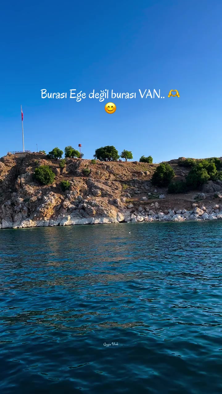 @VAN 65