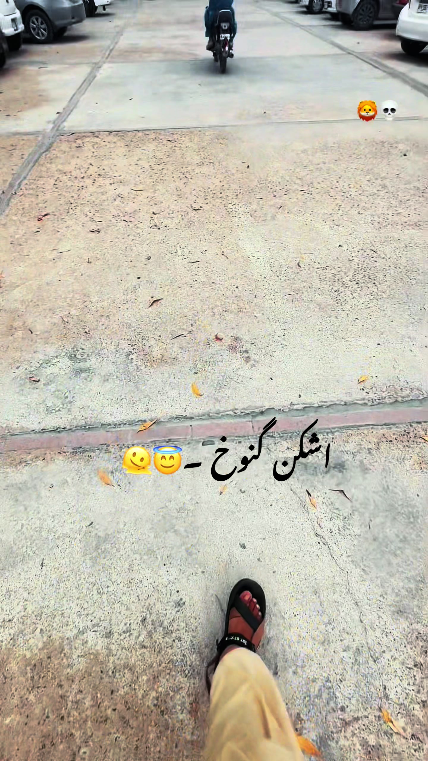 @𝒐𝒚𝒆_Zubii🐺
