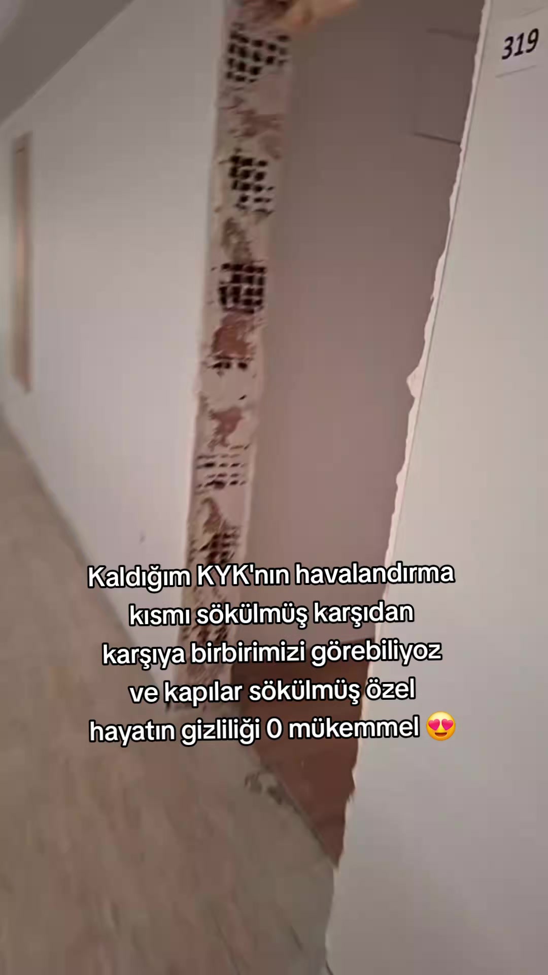 @𖤓°⋆.ೃ࿔*:・Ąnsereus