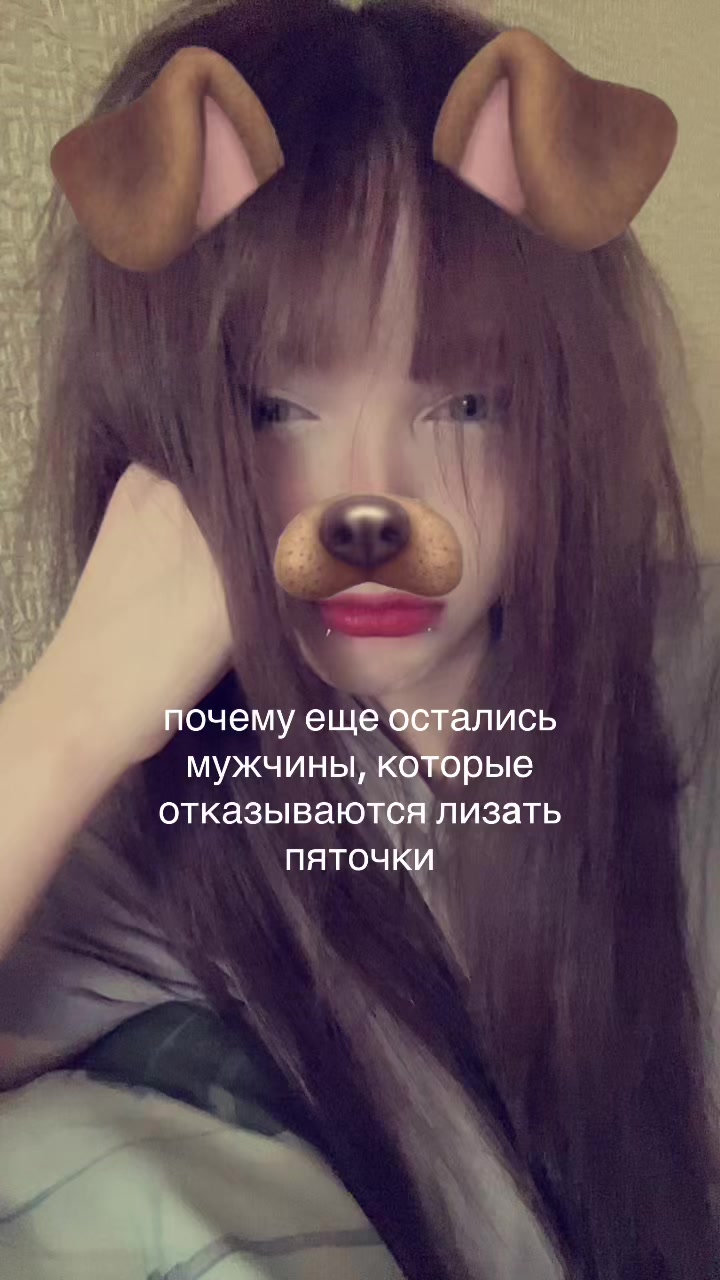 @лацертида