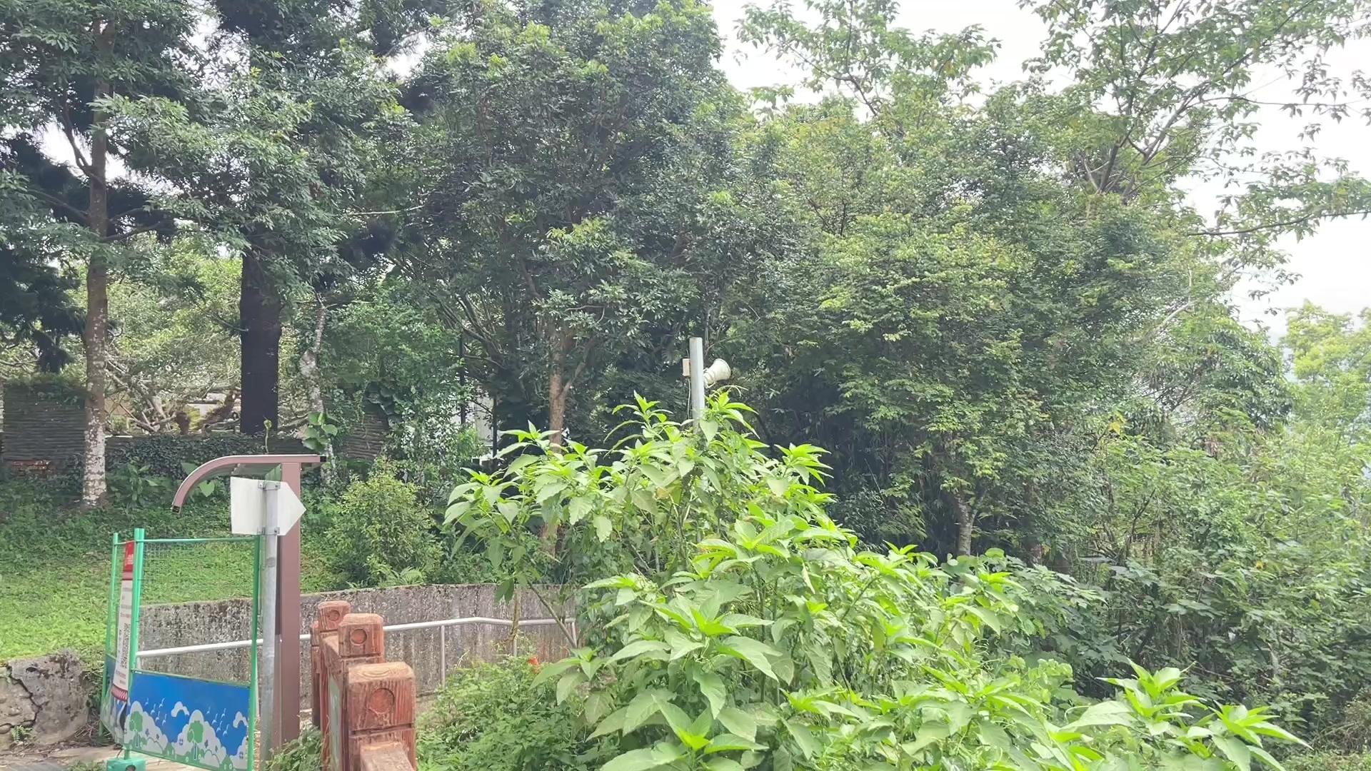 @你在看我嗎?