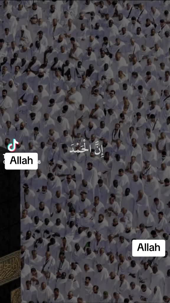 @Syeda Mujahid
