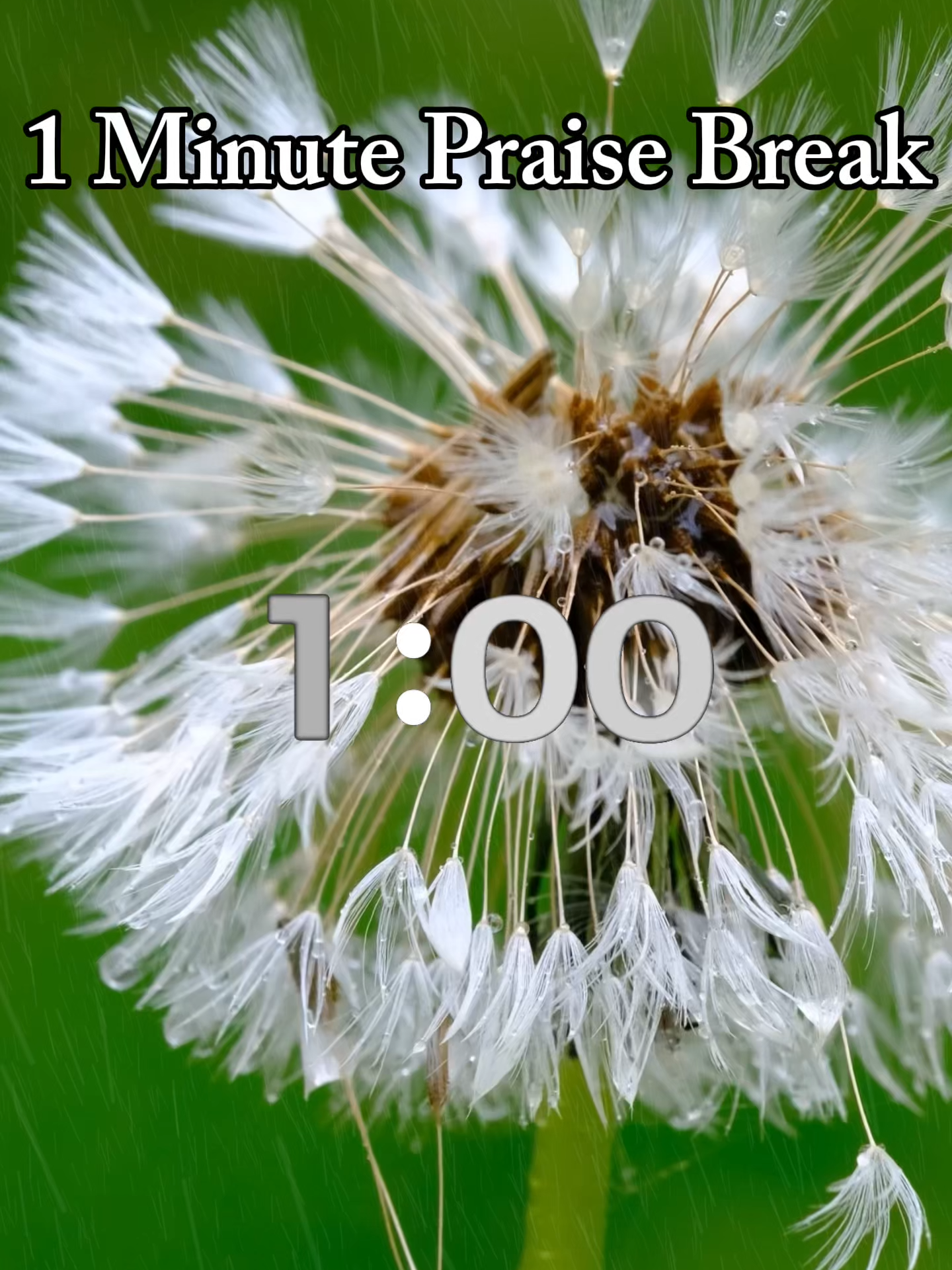 @ThePraiseSpot