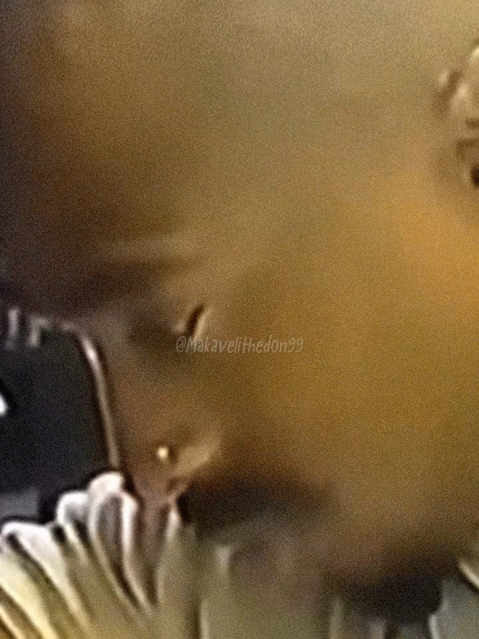 @𝟮𝗣𝗮𝗰👑𝗠𝗮𝗸𝗮𝘃𝗲𝗹𝗶