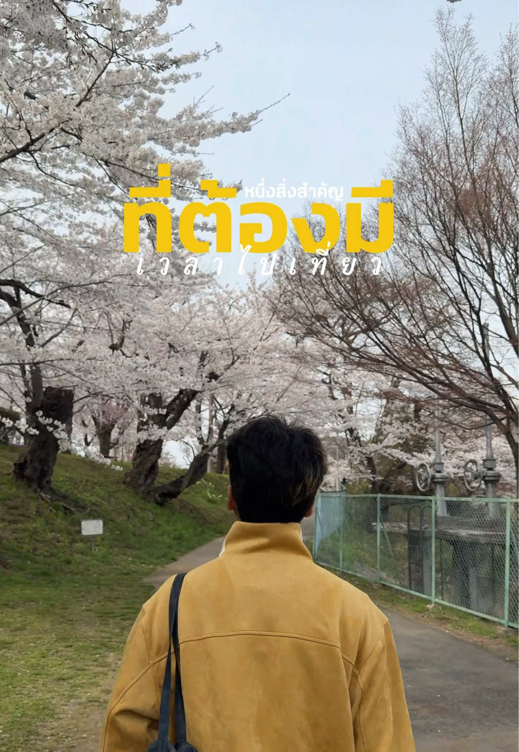 @n.ktw_