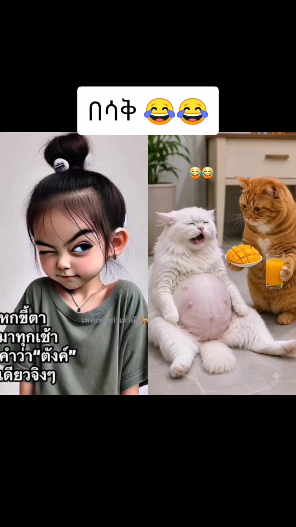 @አይን አፋሯ✌📴