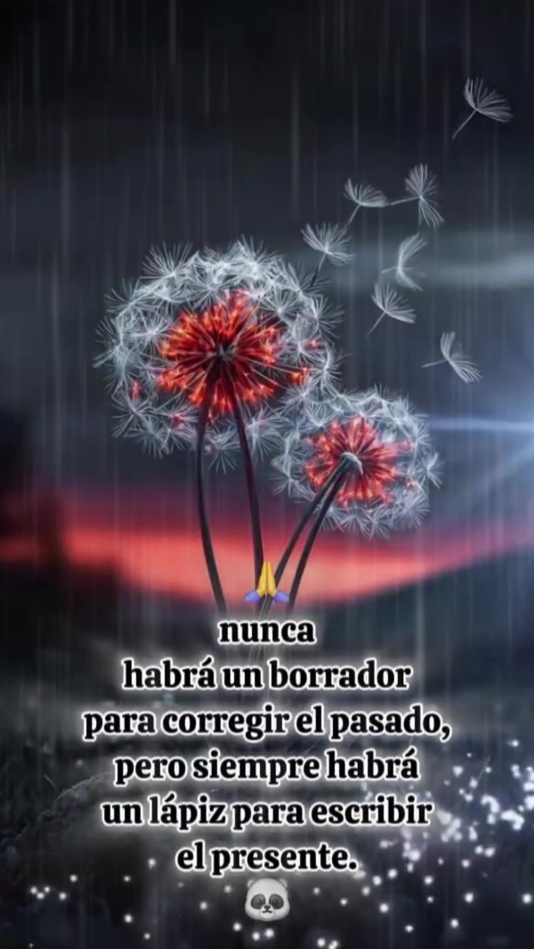 @Evelin 502.v🐟🍀🐢🐟🍀🇬🇹🇺🇸