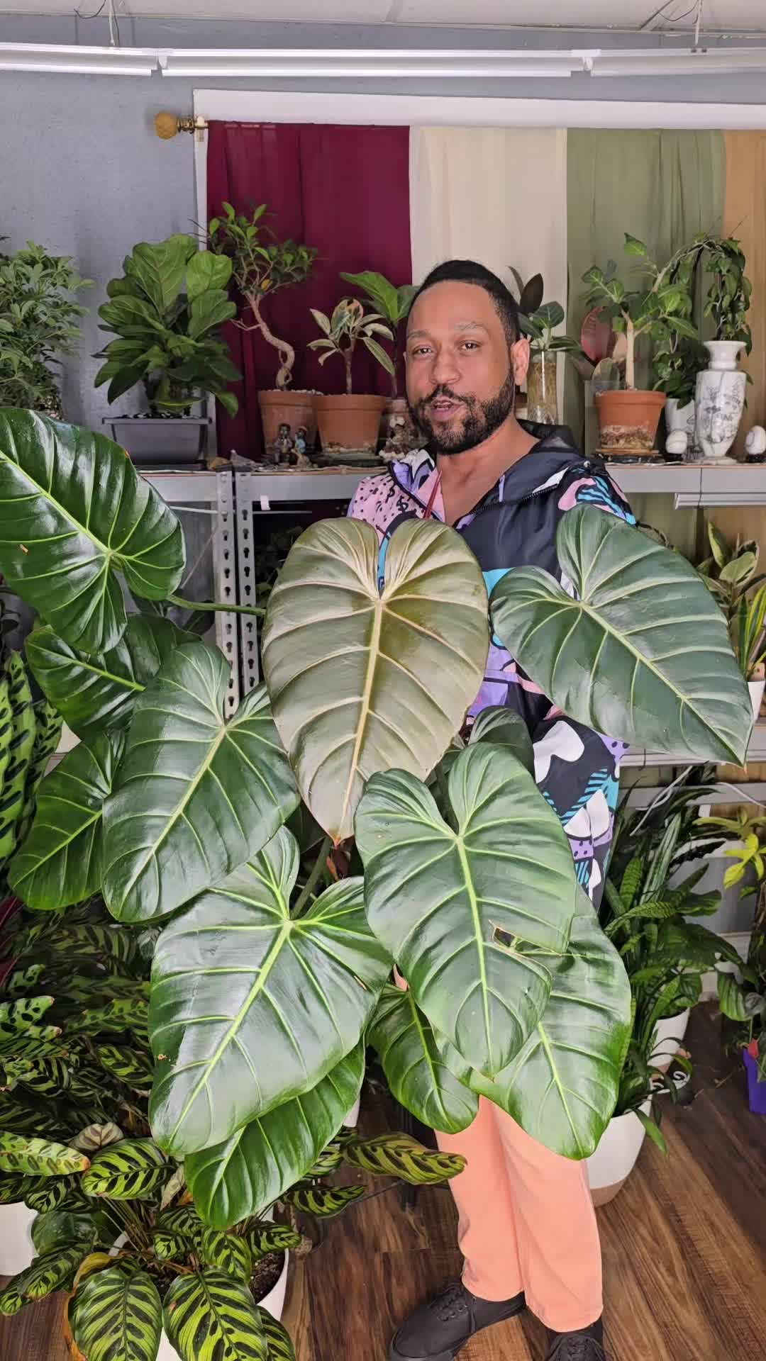 @JT - BigEGOPlants