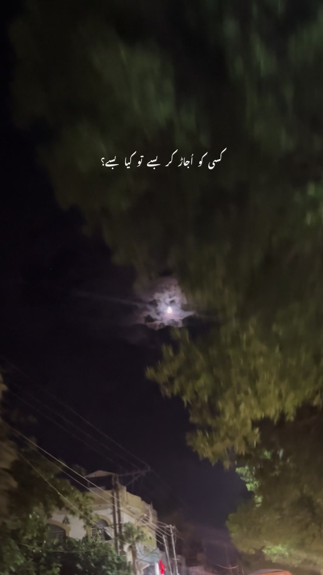 @🌙