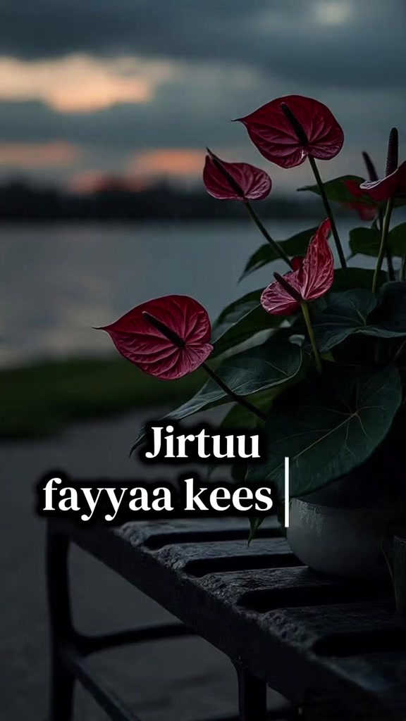 @sena🦋🤍