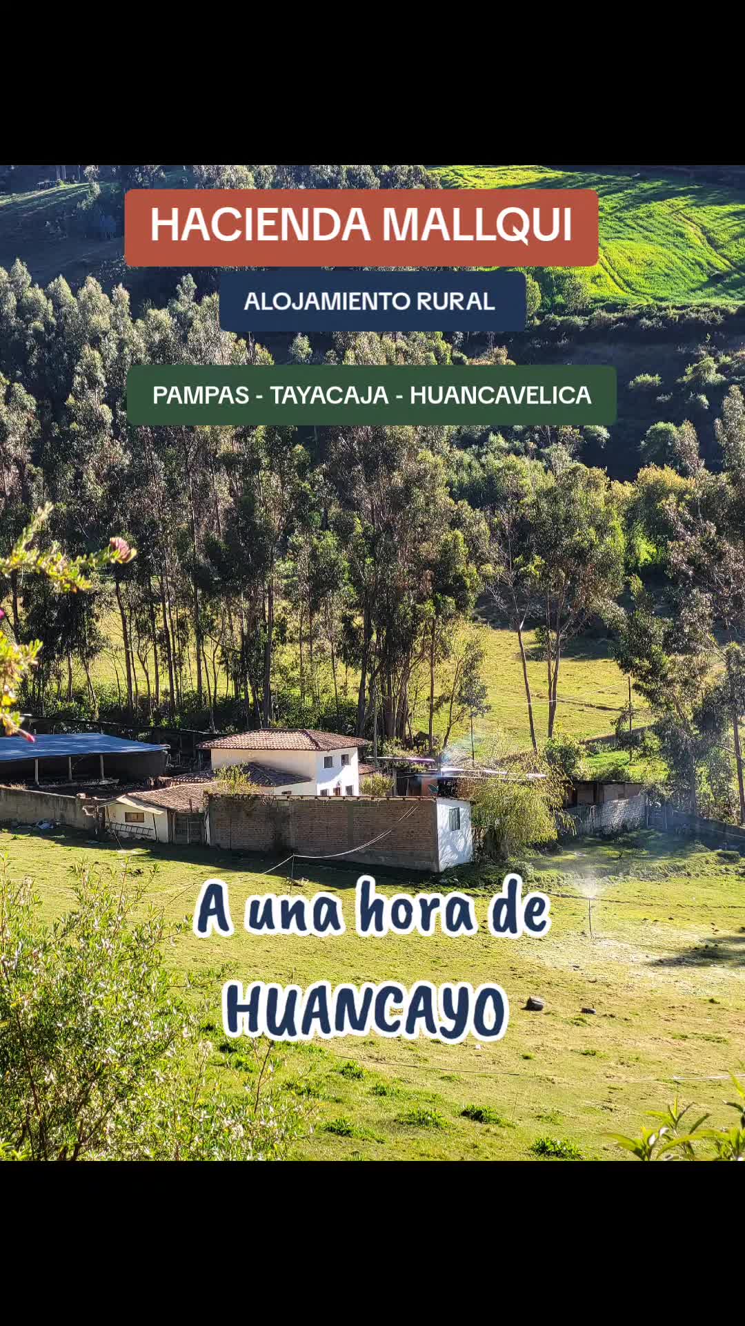 @CABA&Ntilde;AS Mallqui