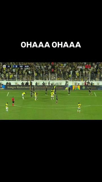 @gen&ccedil; Fenerbah&ccedil;eliler
