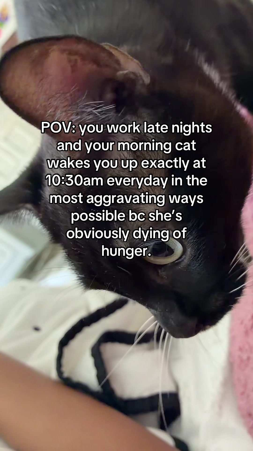 @Olivia